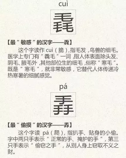 看到这些汉字,我感觉自己的语文白学了!
