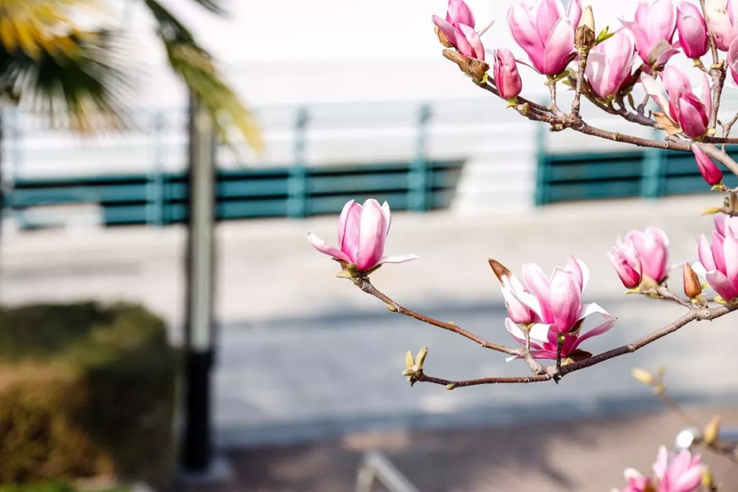 高校校花大评比，你最喜欢哪一款？