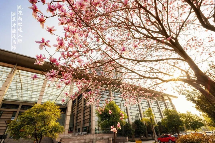 高校校花大评比，你最喜欢哪一款？