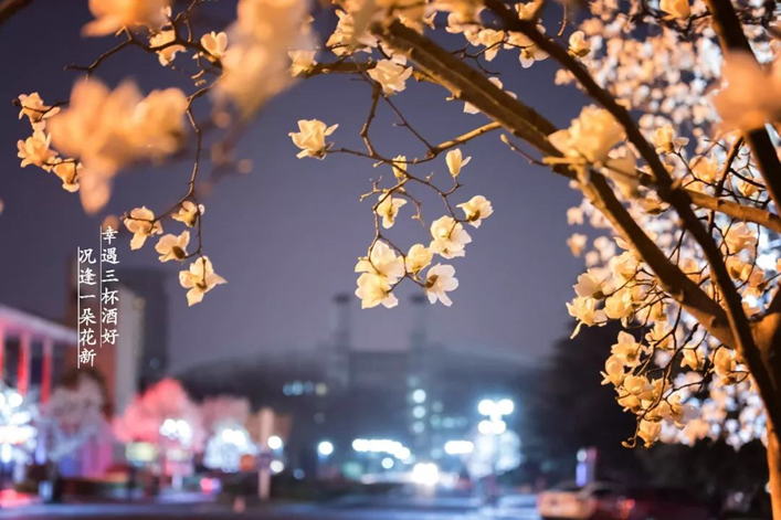 高校校花大评比，你最喜欢哪一款？