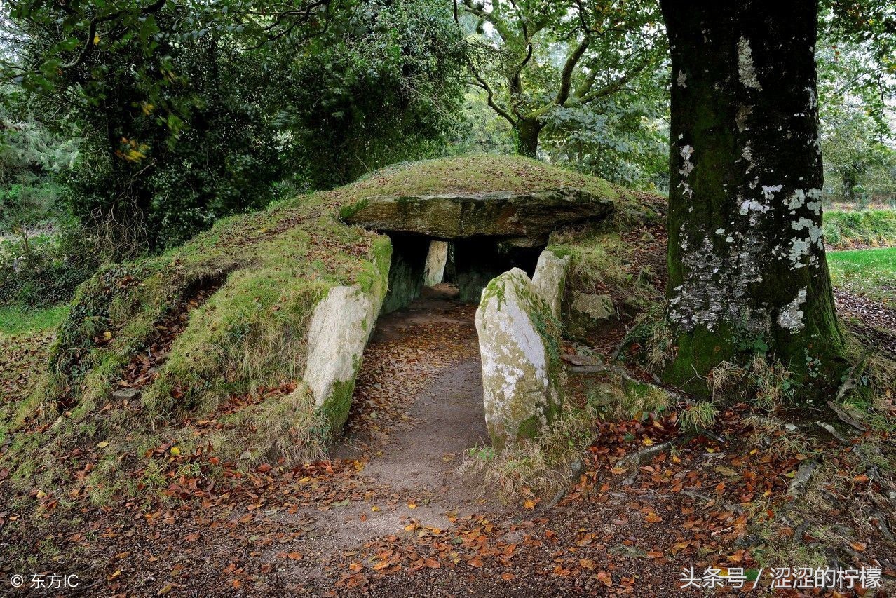 风水迁坟地有啥讲究