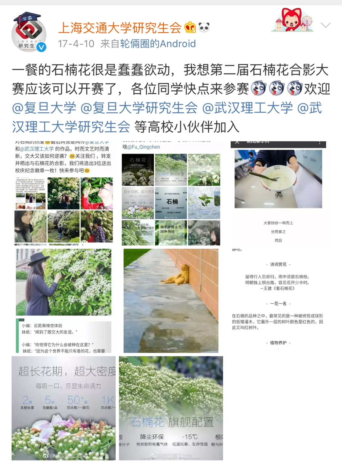 高校校花大评比，你最喜欢哪一款？