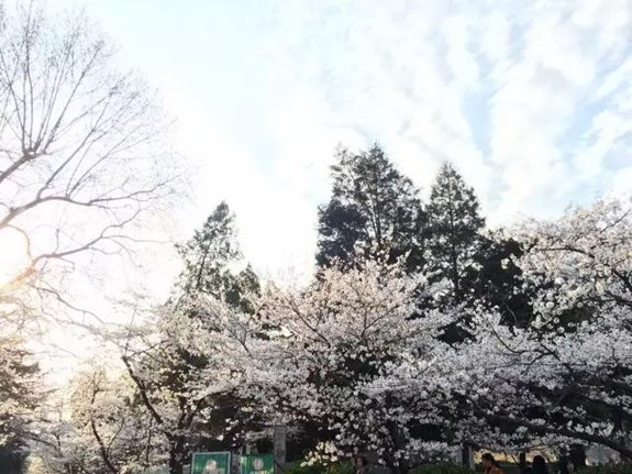 高校校花大评比，你最喜欢哪一款？