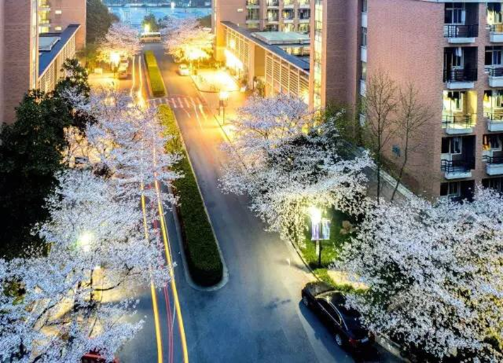 高校校花大评比，你最喜欢哪一款？