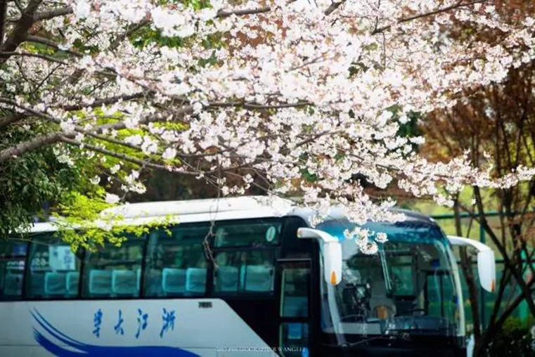 高校校花大评比，你最喜欢哪一款？