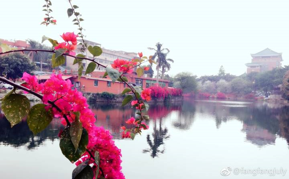 高校校花大评比，你最喜欢哪一款？