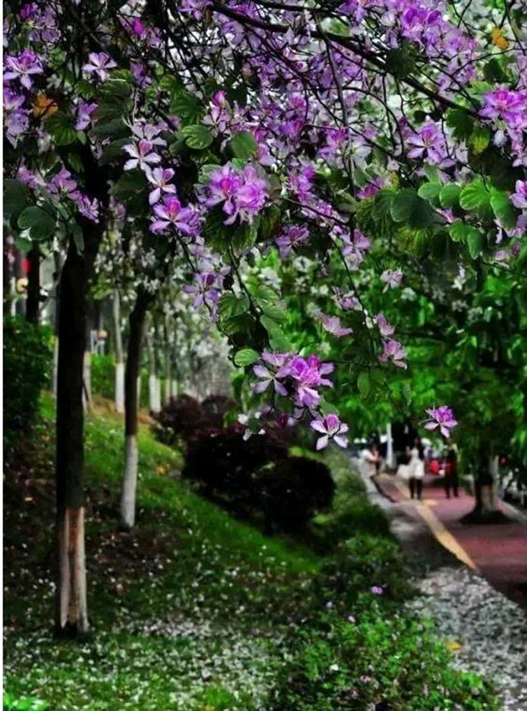 高校校花大评比，你最喜欢哪一款？