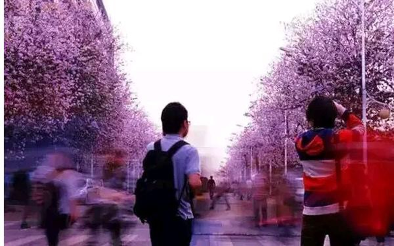 高校校花大评比，你最喜欢哪一款？