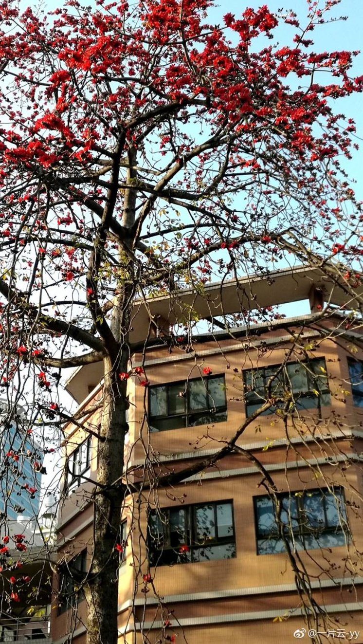 高校校花大评比，你最喜欢哪一款？