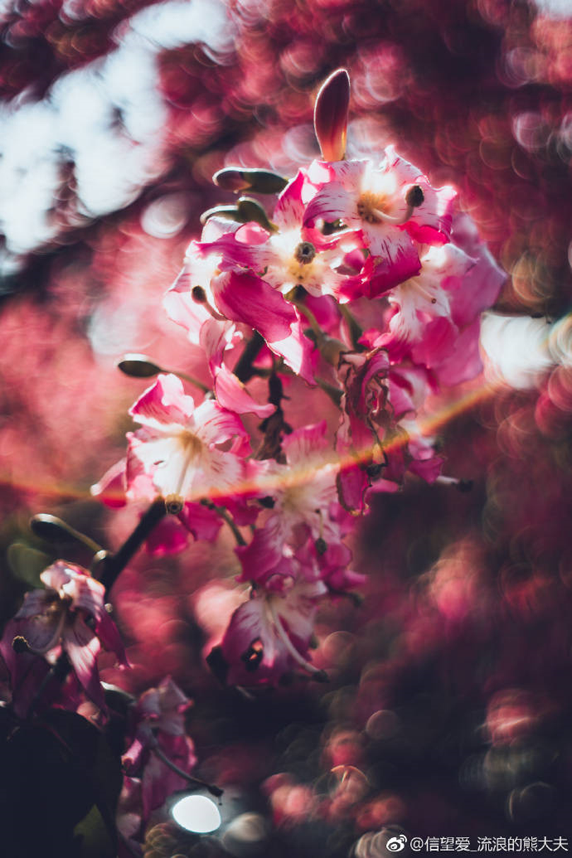 高校校花大评比，你最喜欢哪一款？