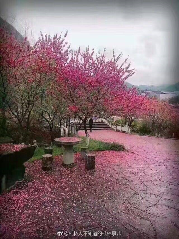 高校校花大评比，你最喜欢哪一款？