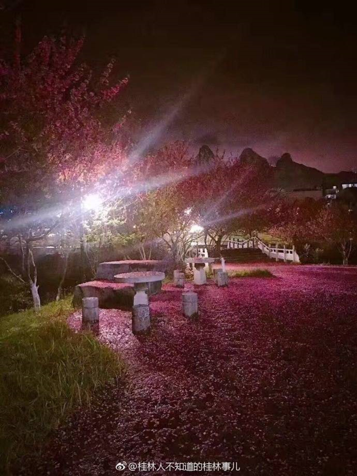 高校校花大评比，你最喜欢哪一款？