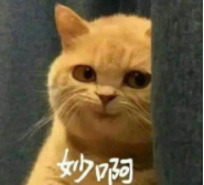 高校校花大评比，你最喜欢哪一款？