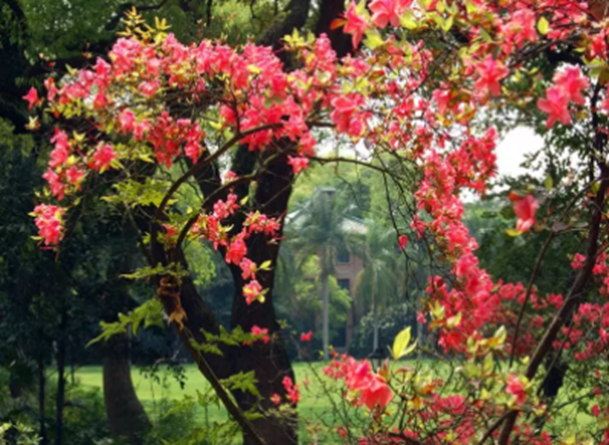 高校校花大评比，你最喜欢哪一款？