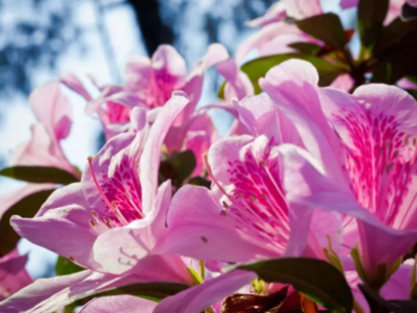 高校校花大评比，你最喜欢哪一款？