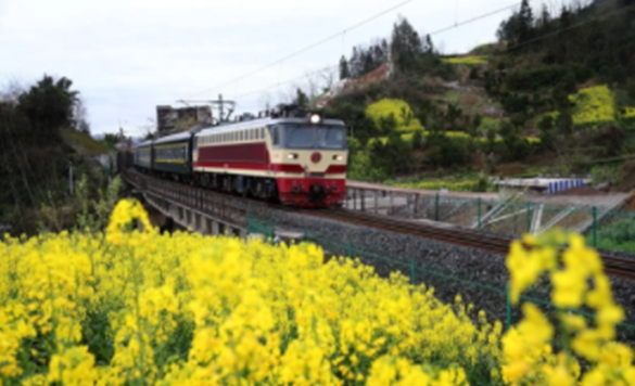 高校校花大评比，你最喜欢哪一款？