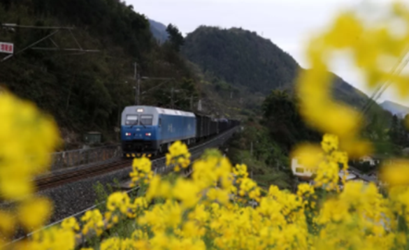 高校校花大评比，你最喜欢哪一款？