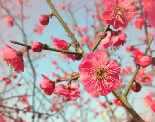 高校校花大评比，你最喜欢哪一款？