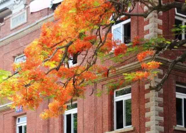 高校校花大评比，你最喜欢哪一款？