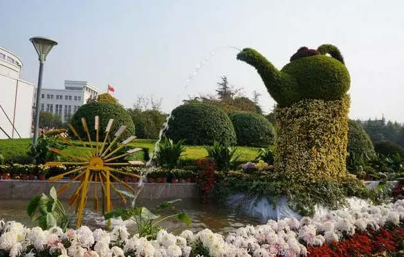 高校校花大评比，你最喜欢哪一款？