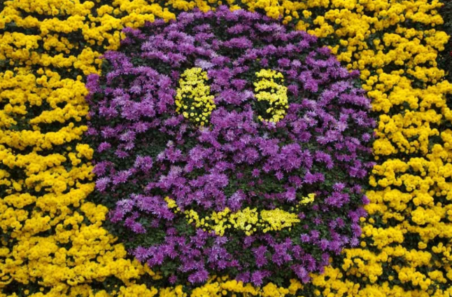 高校校花大评比，你最喜欢哪一款？