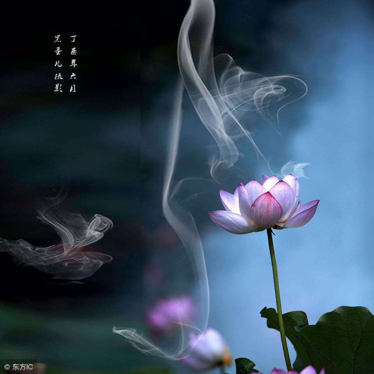 人生别作恶，作恶有天收！建议都看看！