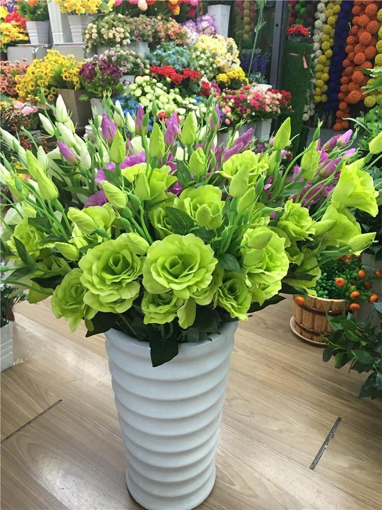 绿色洋桔梗绿色洋桔梗的禁忌