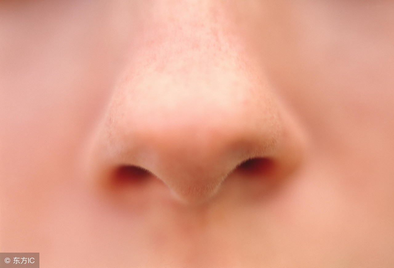 正常人的鼻孔图片图片