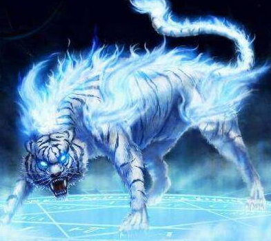 十二星座守护神兽,图文解说,十二星座"如果的事"