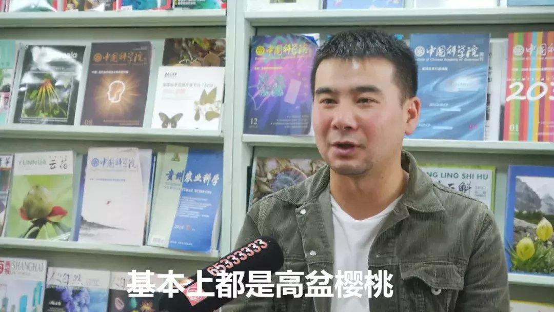 注意！路边的这种“樱桃”熟了千万别摘！专家建议别吃！