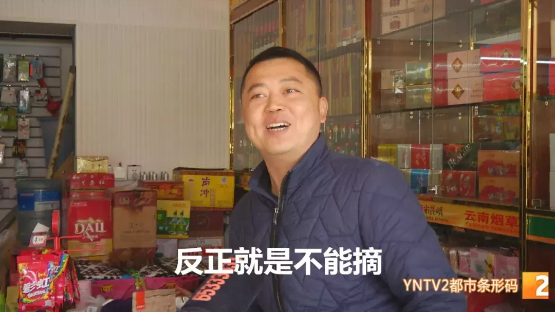 注意！路边的这种“樱桃”熟了千万别摘！专家建议别吃！