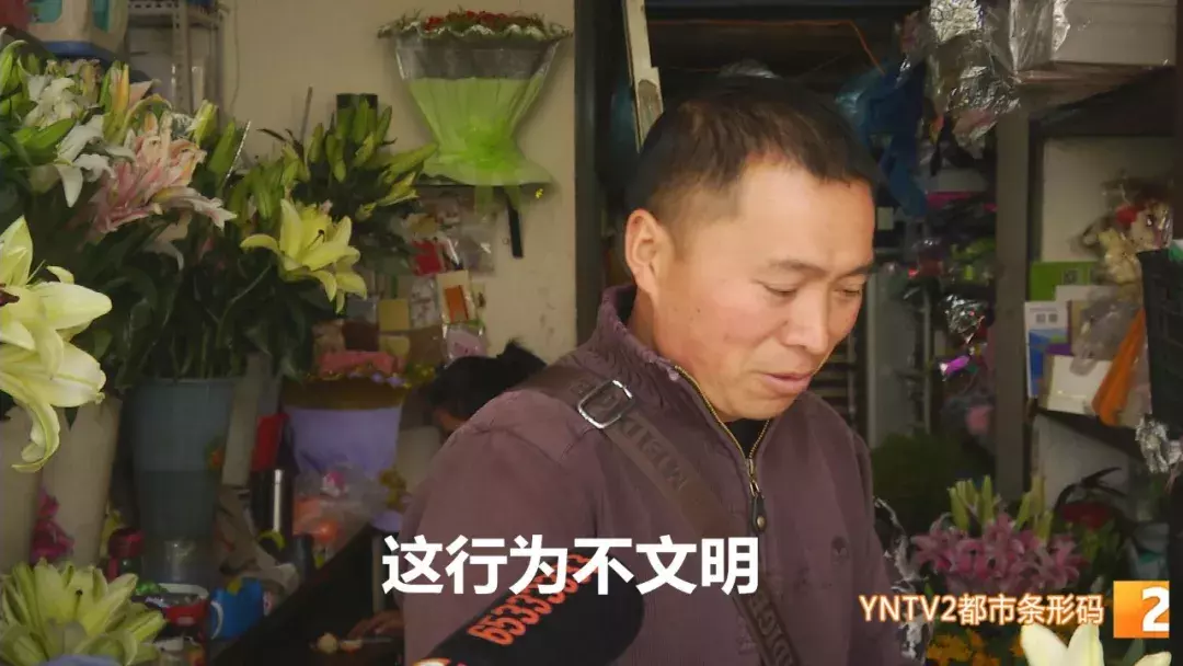 注意！路边的这种“樱桃”熟了千万别摘！专家建议别吃！