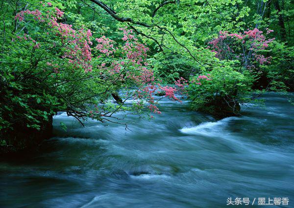 溪水长流，愿能清静…… 美化你的心灵！