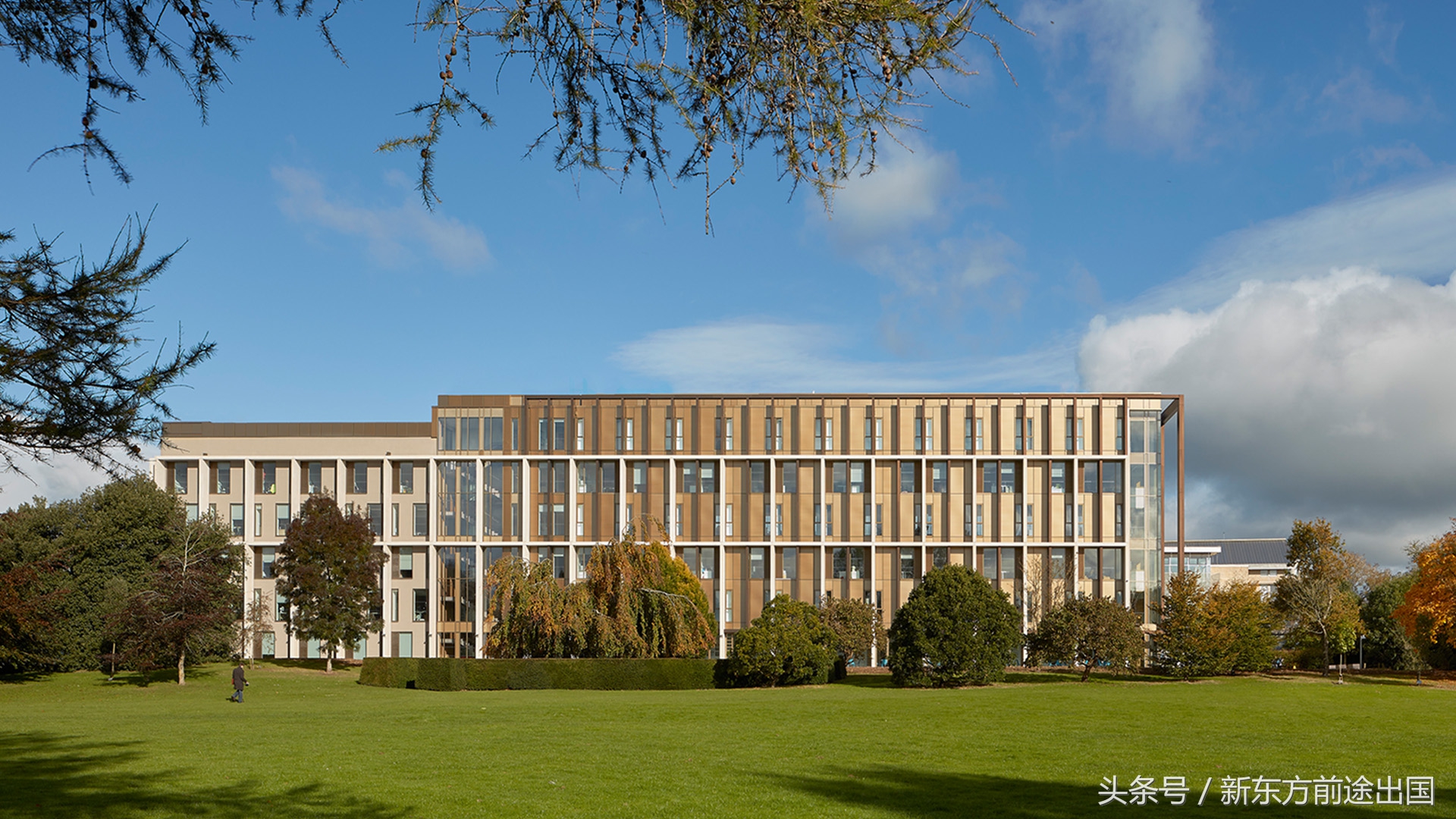 2018英国最安全大学排行榜公布  牛剑未入前10，第1竟是…