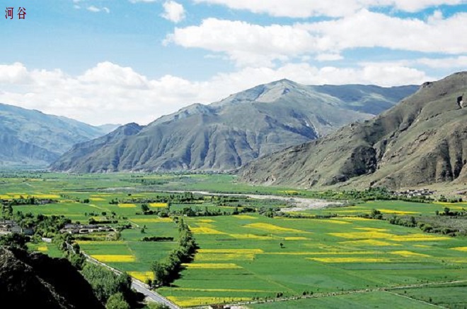 青藏高原农业类型(西北地区和青藏地区的特色农业方式)