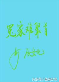 鱼妹书单|6本男主或者女主是律师的完结甜宠文