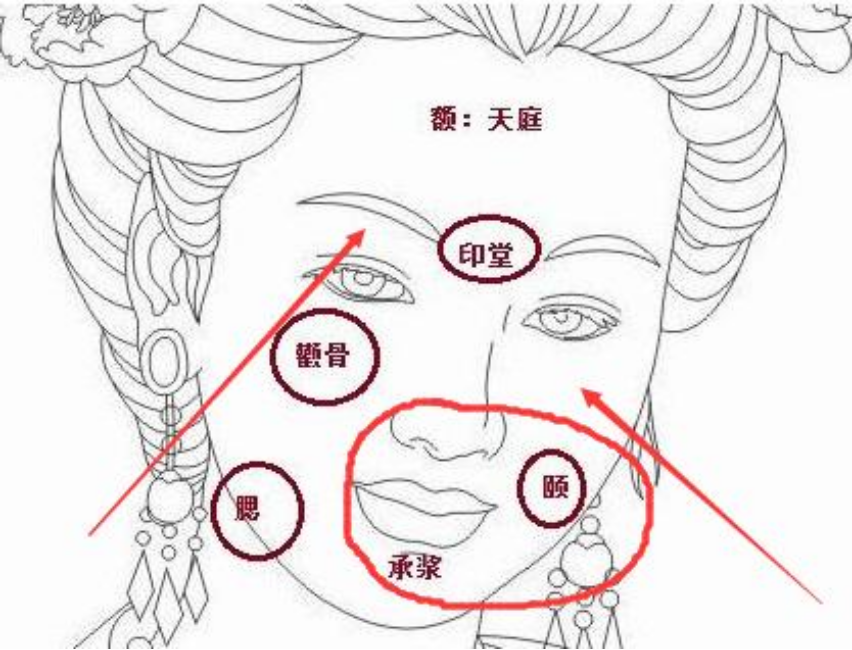 额头纹路命运图片大全(额头) - 赤虎壹号