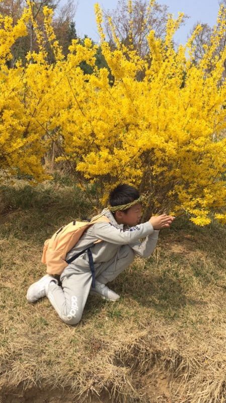 烟花三月，醉美春天
