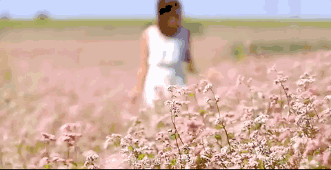 风正轻，阳正好，来沙坪坝浅歌慢行，醉看春色吧！