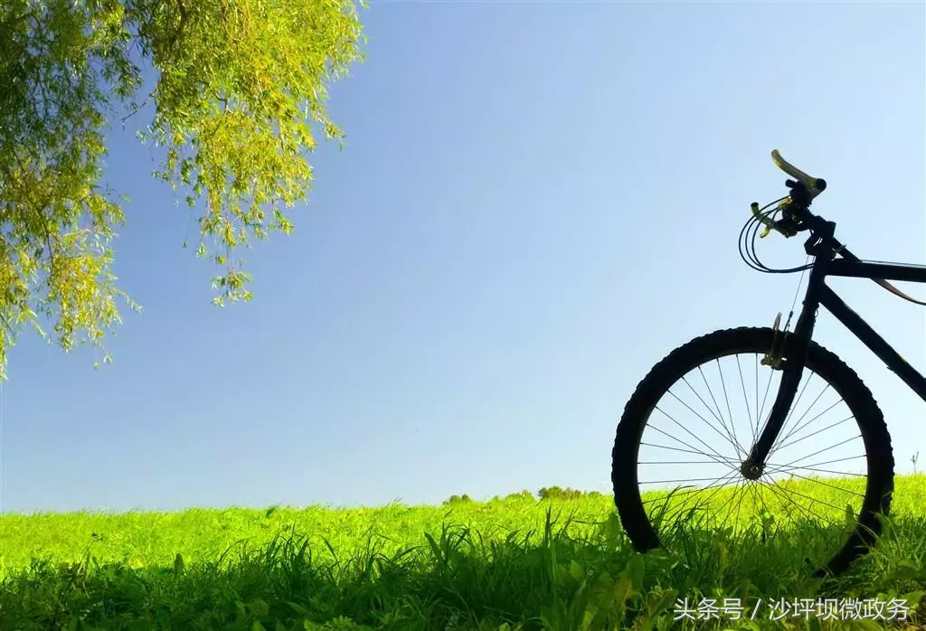 风正轻,阳正好,来沙坪坝浅歌慢行,醉看春色吧!