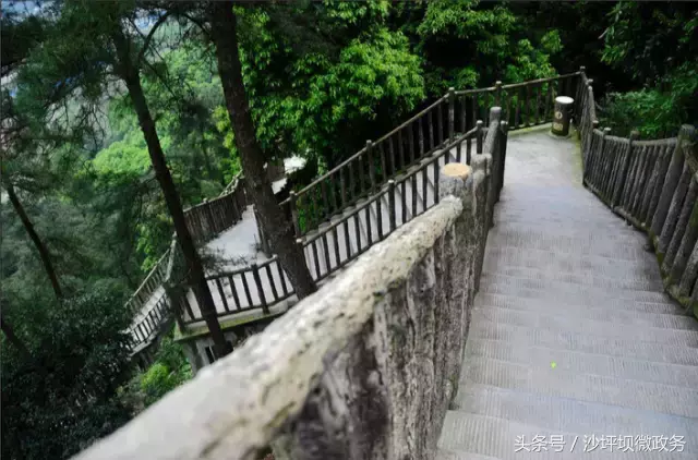 风正轻,阳正好,来沙坪坝浅歌慢行,醉看春色吧!