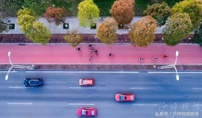 风正轻,阳正好,来沙坪坝浅歌慢行,醉看春色吧!