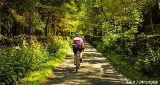 风正轻,阳正好,来沙坪坝浅歌慢行,醉看春色吧!