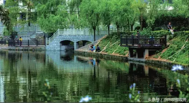 风正轻,阳正好,来沙坪坝浅歌慢行,醉看春色吧!