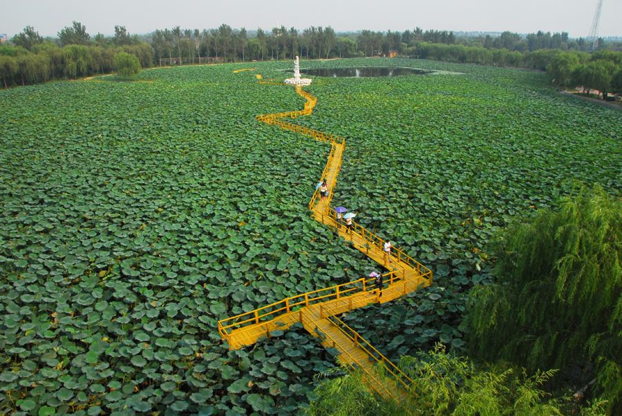 云南玉溪元江县十大旅游景点