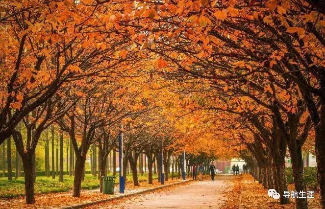 走进名校26：西北农林科技大学