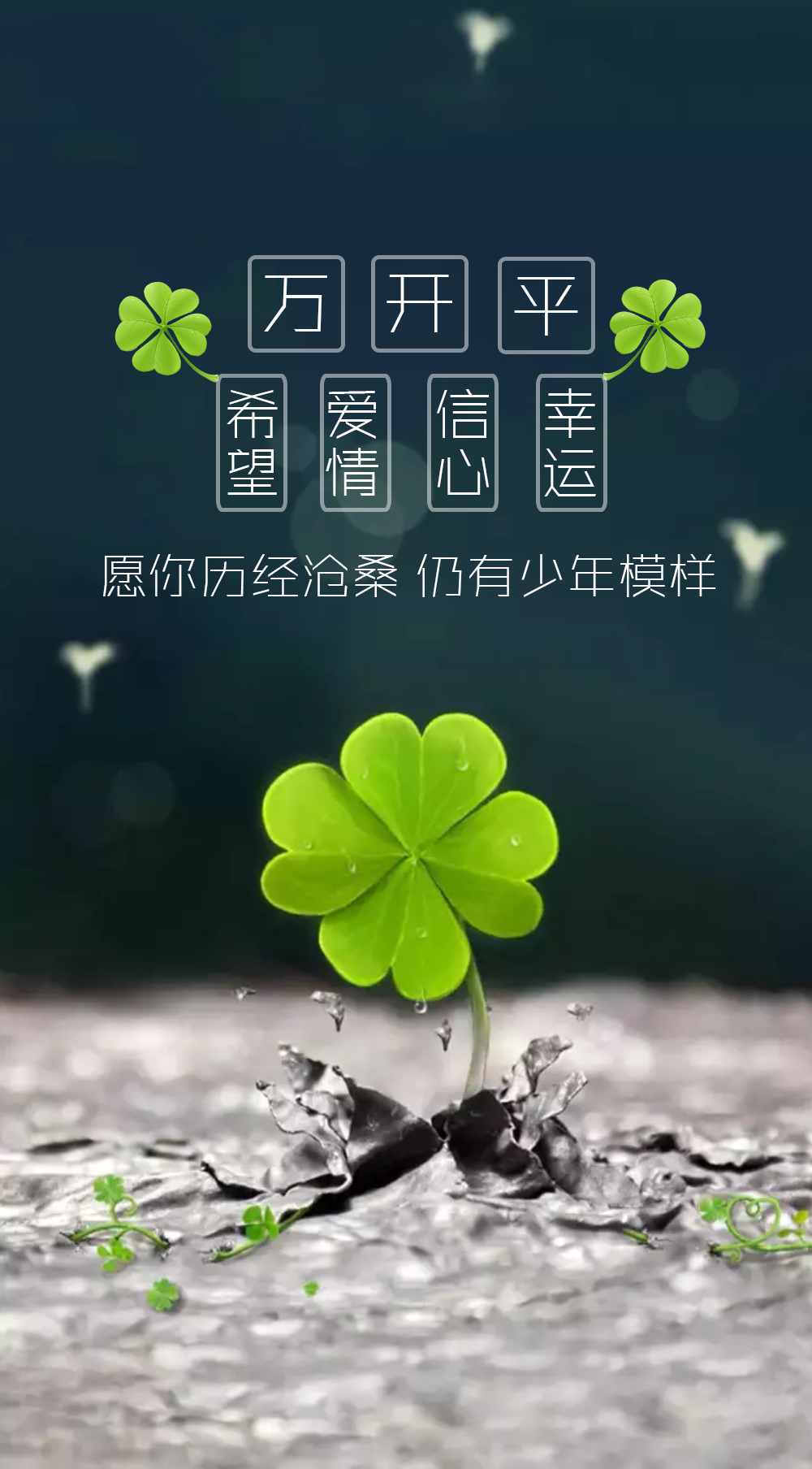 四叶草的祝福壁纸定制:愿你历经沧桑,仍有少年模样