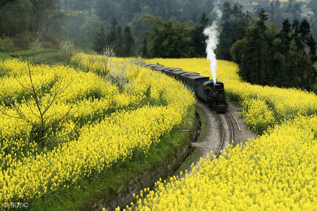 四川旅行全攻略，这些玩转必打卡景点的经典路线不可错过