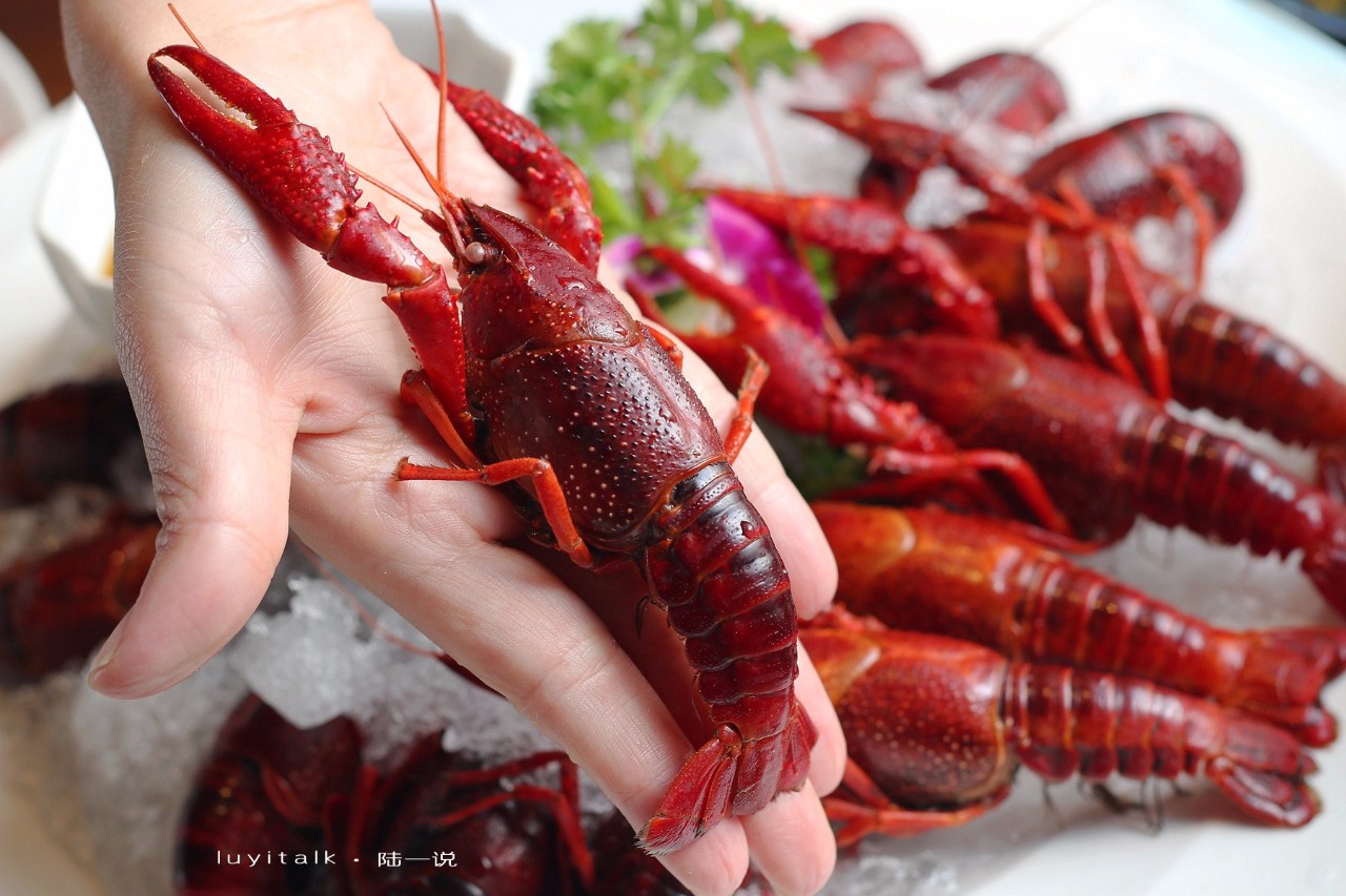 龙虾多少钱一只(一份小龙虾888元) - 价格百科