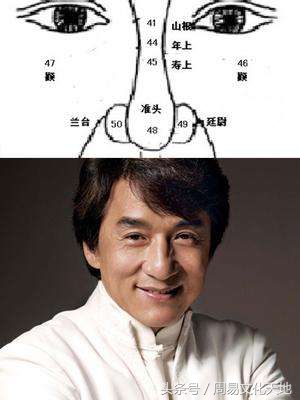 收藏!从鼻子一看看出你的财富和性格特点面相学技巧 第5张